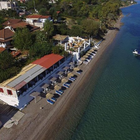 Taradella Hotel Alissos 外观 照片