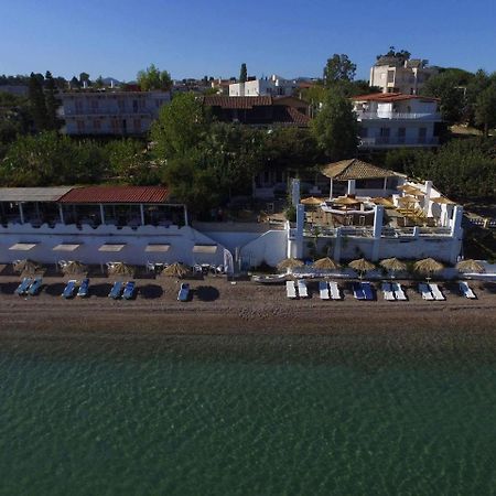 Taradella Hotel Alissos 外观 照片